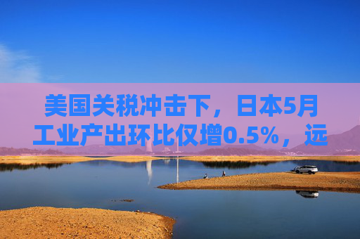 美國關(guān)稅沖擊下，日本5月工業(yè)產(chǎn)出環(huán)比僅增0.5%，遠(yuǎn)遜于預(yù)期