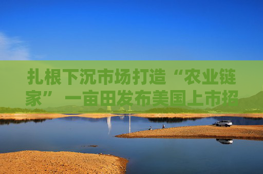 扎根下沉市場(chǎng)打造“農(nóng)業(yè)鏈家” 一畝田發(fā)布美國上市招股書