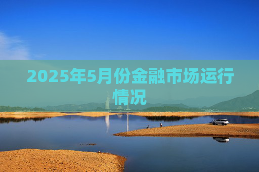 2025年5月份金融市場運(yùn)行情況