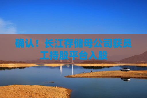 確認(rèn)！長江存儲(chǔ)母公司獲員工持股平臺(tái)入股
