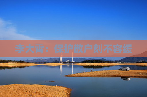 李大霄：保護散戶刻不容緩