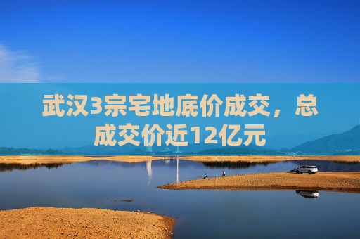 武漢3宗宅地底價成交，總成交價近12億元