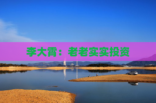 李大霄：老老實實投資