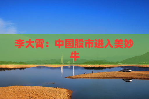 李大霄：中國股市進入美妙牛