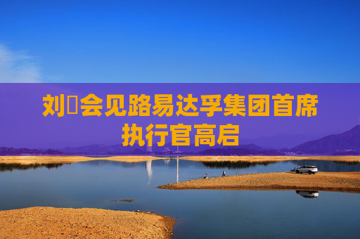 劉珺會(huì)見路易達(dá)孚集團(tuán)首席執(zhí)行官高啟