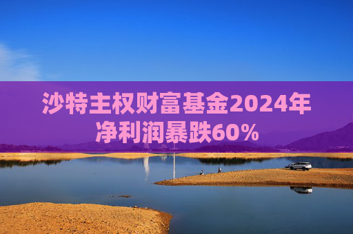 沙特主權(quán)財(cái)富基金2024年凈利潤(rùn)暴跌60%