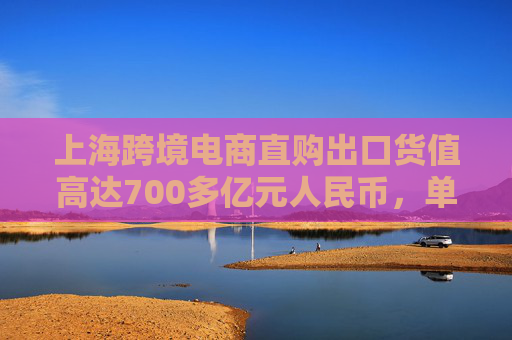 上?？缇畴娚讨辟?gòu)出口貨值高達(dá)700多億元人民幣，單量同比增長(zhǎng)20.2%  第1張