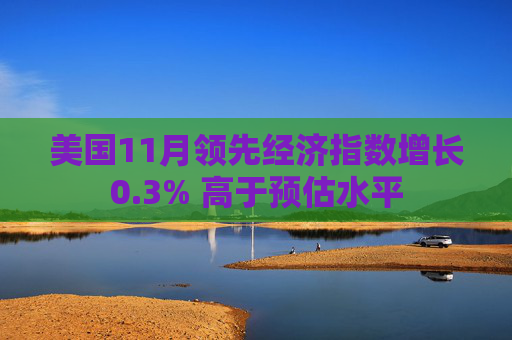 美國11月領(lǐng)先經(jīng)濟指數(shù)增長0.3% 高于預(yù)估水平  第1張