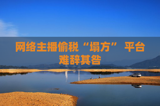 網(wǎng)絡主播偷稅“塌方” 平臺難辭其咎