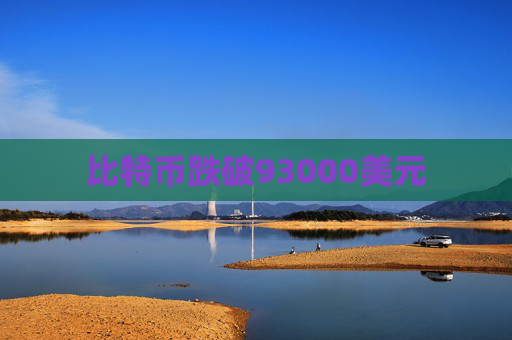 比特幣跌破93000美元  第1張