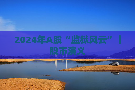 2024年A股“監(jiān)獄風云”丨股市演義