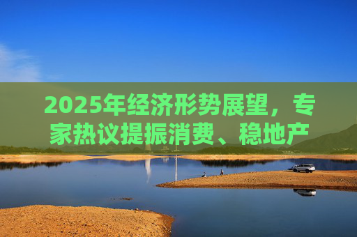 2025年經(jīng)濟(jì)形勢(shì)展望，專家熱議提振消費(fèi)、穩(wěn)地產(chǎn)
