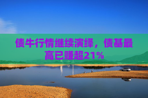 債牛行情繼續(xù)演繹，債基最高已賺超21%
