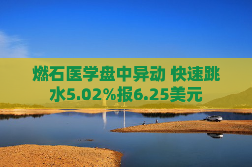 燃石醫(yī)學(xué)盤中異動(dòng) 快速跳水5.02%報(bào)6.25美元