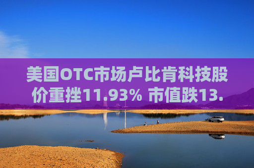 美國OTC市場盧比肯科技股價(jià)重挫11.93% 市值跌13.78萬美元  第1張