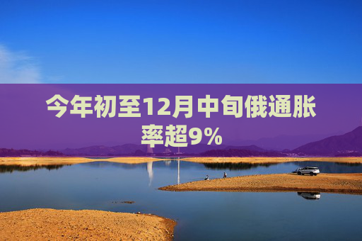 今年初至12月中旬俄通脹率超9%  第1張