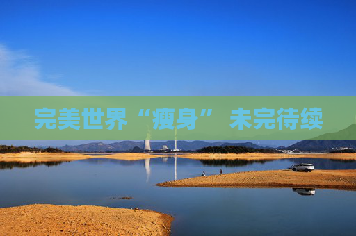 完美世界“瘦身” 未完待續(xù)