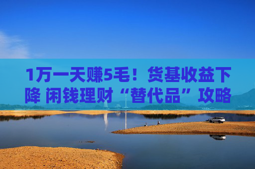 1萬一天賺5毛！貨基收益下降 閑錢理財“替代品”攻略來了