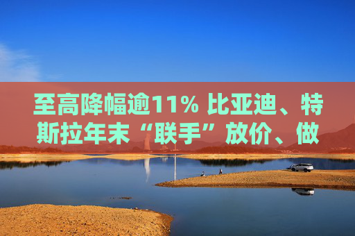 至高降幅逾11% 比亞迪、特斯拉年末“聯(lián)手”放價(jià)、做“龍年”最后沖刺