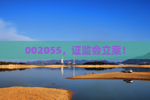 002055，證監(jiān)會立案！  第1張