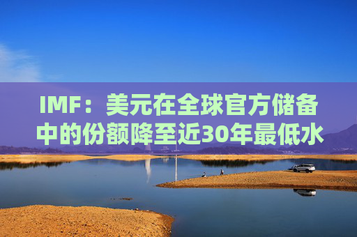 IMF：美元在全球官方儲備中的份額降至近30年最低水平