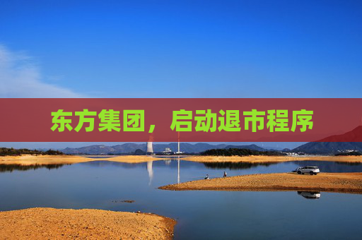 東方集團(tuán)，啟動退市程序