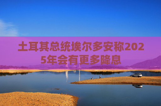 土耳其總統(tǒng)埃爾多安稱2025年會有更多降息