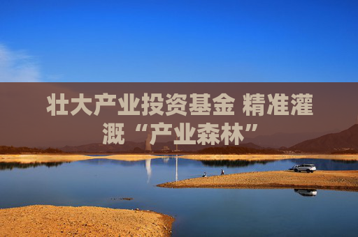壯大產(chǎn)業(yè)投資基金 精準(zhǔn)灌溉“產(chǎn)業(yè)森林”