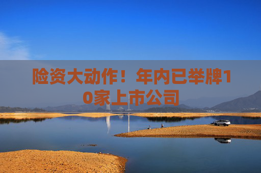 險(xiǎn)資大動作！年內(nèi)已舉牌10家上市公司
