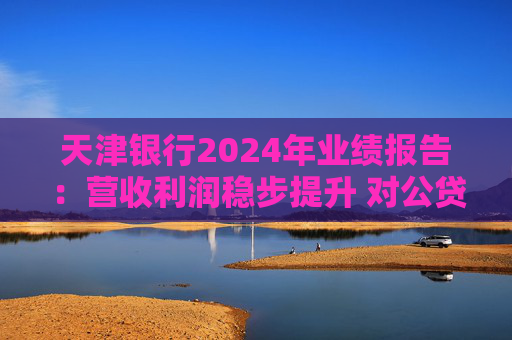 天津銀行2024年業(yè)績報(bào)告：營收利潤穩(wěn)步提升 對(duì)公貸款同比增長21.8％  第1張