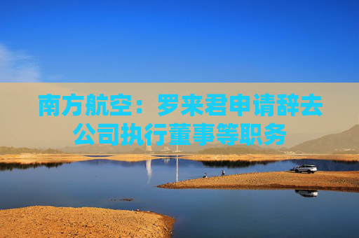 南方航空：羅來(lái)君申請(qǐng)辭去公司執(zhí)行董事等職務(wù)