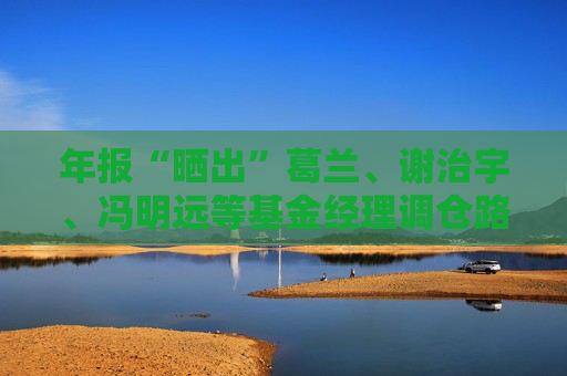 年報“曬出”葛蘭、謝治宇、馮明遠等基金經(jīng)理調(diào)倉路徑 三大賽道成重要方向