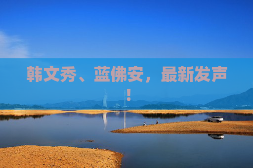 韓文秀、藍(lán)佛安，最新發(fā)聲！