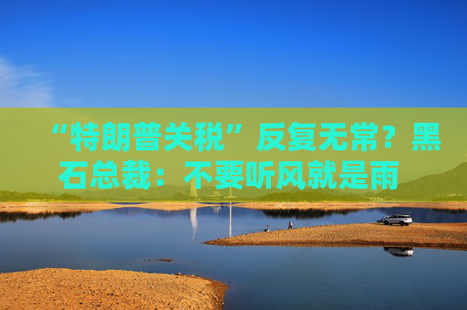 “特朗普關(guān)稅”反復(fù)無常？黑石總裁：不要聽風(fēng)就是雨 倉促做決定！