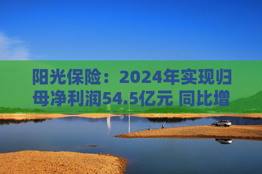 陽光保險(xiǎn)：2024年實(shí)現(xiàn)歸母凈利潤54.5億元 同比增長45.8%