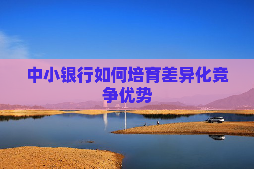 中小銀行如何培育差異化競爭優(yōu)勢