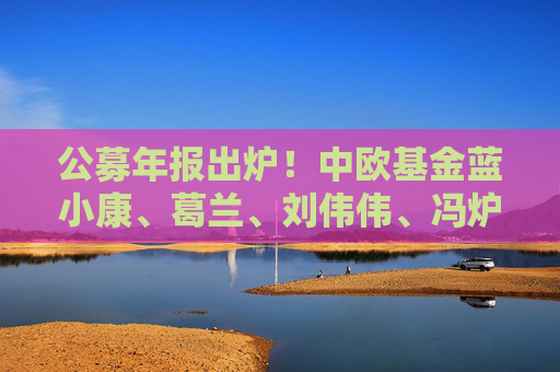 公募年報(bào)出爐！中歐基金藍(lán)小康、葛蘭、劉偉偉、馮爐丹最新觀點(diǎn)一覽  第1張
