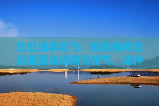 比亞迪李云飛：抵制各種拉踩甚至說(shuō)話陰陽(yáng)怪氣，這種行為非常討厭