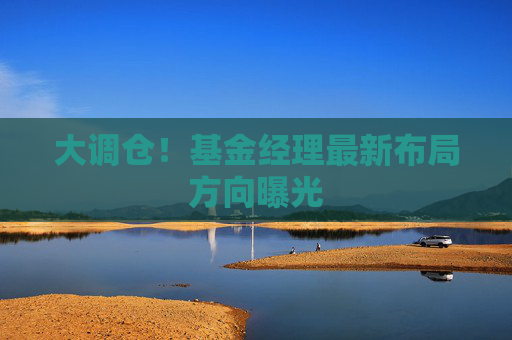 大調(diào)倉(cāng)！基金經(jīng)理最新布局方向曝光  第1張