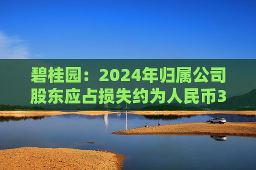 碧桂園：2024年歸屬公司股東應(yīng)占損失約為人民幣328億元