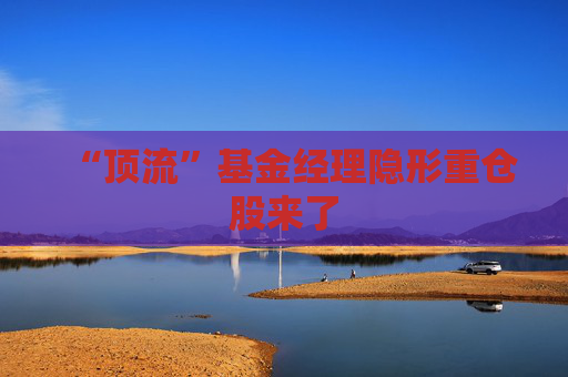 “頂流”基金經(jīng)理隱形重倉股來了