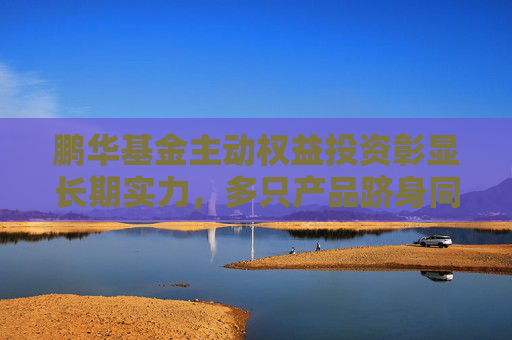 鵬華基金主動(dòng)權(quán)益投資彰顯長(zhǎng)期實(shí)力，多只產(chǎn)品躋身同類(lèi)前20%