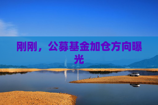 剛剛，公募基金加倉方向曝光