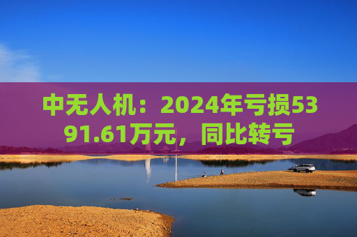 中無(wú)人機(jī)：2024年虧損5391.61萬(wàn)元，同比轉(zhuǎn)虧  第1張