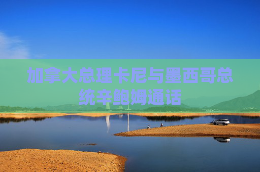 加拿大總理卡尼與墨西哥總統(tǒng)辛鮑姆通話