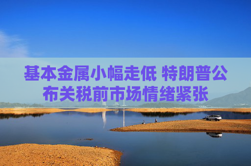 基本金屬小幅走低 特朗普公布關(guān)稅前市場情緒緊張