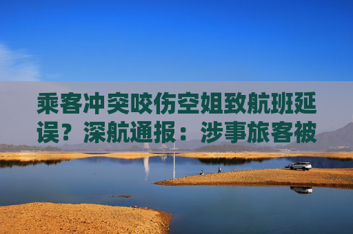 乘客沖突咬傷空姐致航班延誤？深航通報(bào)：涉事旅客被移交警方處理