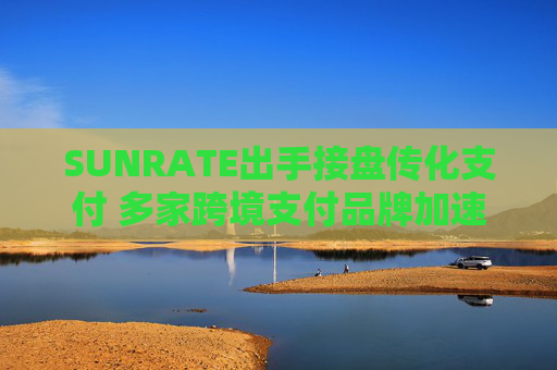 SUNRATE出手接盤傳化支付 多家跨境支付品牌加速在華拿牌布局