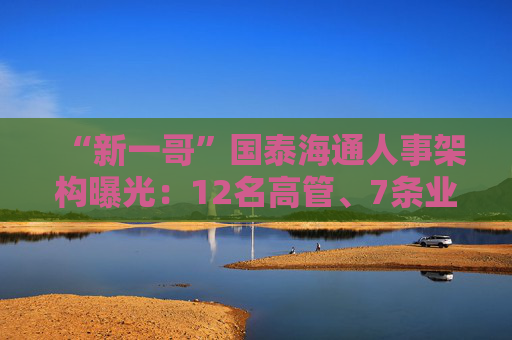 “新一哥”國泰海通人事架構(gòu)曝光：12名高管、7條業(yè)務線、41個部門浮出水面