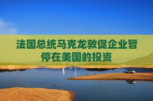 法國總統(tǒng)馬克龍敦促企業(yè)暫停在美國的投資  第1張